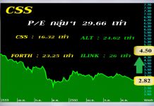 CSS กินรวบงานใหญ่สื่อสาร ผนึกพันธมิตรฮุบสายไฟภูธร
