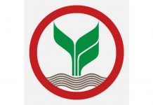 KBANK ลุยผุดโปรดักต์ใหม่-หนุนรายได้ ‘ค่าฟี’พลิกบวก