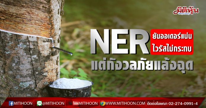 NER