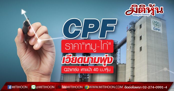 CPF