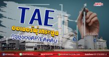 TAE ออเดอร์พุ่งกระฉูด กูรูชูของดีP/Eติดดิน (24/06/63)