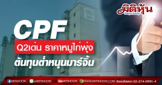 CPF Q2เด่น ราคาหมูไก่พุ่ง ต้นทุนต่ำหนุนมาร์จิ้น