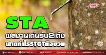 STA ผลงานเด่นรับ2เด้ง ฟาดกำไร STGT มือบวม (03/09/63)
