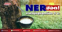NER ฮอต! ราคาพุ่งสูงสุดเฉียด 5 บ.