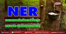 NER ราคายางเด้งดันมาร์จิ้นพุ่ง งบแกร่ง-ซุ่มรับออเดอร์เพิ่ม (01/12/63)