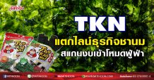 TKN แตกไลน์ธุรกิจชานม สแกนงบเข้าโหมดฟู่ฟ่า(3/12/63)