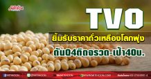 TVO ยิ้มรับราคาถั่วเหลืองโลกพุ่ง ดันQ4ติดจรวด-เป้า40บ. (21/12/63)