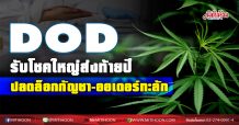 DOD รับโชคใหญ่ส่งท้ายปี ปลดล็อกกัญชา-ออเดอร์ทะลัก (16/12/63)