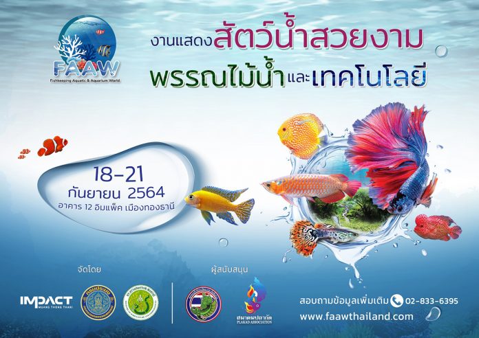 KV_fishkeeping_blue_cs6