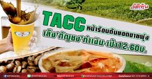 TACC หน้าร้อนดันยอดขายพุ่ง เล็ง‘กัญชง’ทำเงิน-เป้า12.60 บ. (19/03/64)