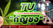 TU เล็งออกสินค้าเกี่ยวกับ”กัญชง”