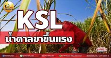 เด็กแนว (เช้า) KSL น้ำตาลขาขึ้นแรง (31/05/64)
