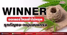 WINNER ออเดอร์ไหลเข้าไม่หยุด รุกกัญชง-หนุนงบแกร่ง (25/06/64)