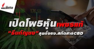 เปิดโผ5หุ้นธีม “กัญชง-กัญชา” ลุยตั้งโรงงานสกัดสาร CBD