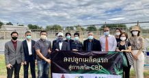 GTH นำเมล็ดกัญชงลงแปลงปลูก ม.ขอนแก่น