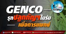 เด็กแนว (บ่าย) >> GENCO: รุกปลูกกัญฯ ในร่มเพื่อการแพทย์