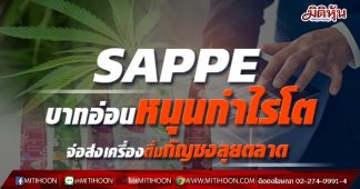 SAPPE บาทอ่อนหนุนกำไรโต จ่อส่งเครื่องดื่มกัญชงลุยตลาด