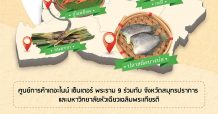 เดอะไนน์ เซ็นเตอร์ พระราม 9 รวมของดีร้านดัง จ.สมุทรปราการ พร้อมให้ช้อปคุ้มในงาน “ฉีกยิ้ม อิ่มอร่อย @ ปราการ วิลเลจ แฟร์”