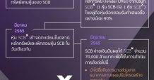 ขั้นตอนการปรับโครงสร้างการถือหุ้นของกลุ่ม SCB” และ “รายชื่อบริษัทในกลุ่ม New Growth พร้อมชื่อผู้บริหารที่ดูแล