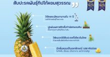 เจาะกลยุทธ์ R&D สับปะรดพันธุ์ “ทิปโก้หอมสุวรรณ” หัวหอกความสำเร็จ Fruit Business ของทิปโก้ กับโอกาสส่งออกสินค้าเกษตรไทยในยุคโควิด-19