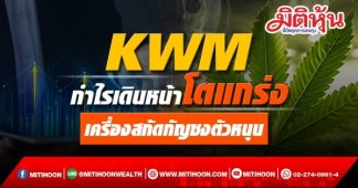 KWM กำไรเดินหน้าโตแกร่ง เครื่องสกัดกัญชงตัวหนุน