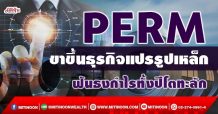 PERM ขาขึ้นธุรกิจแปรรูปเหล็ก ฟันธงกำไรทั้งปีโตทะลัก (14/09/64)