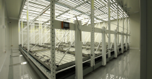 GTG ประกาศเปิด “GTG Plant Factory” พื้นที่กว่า 1,500 ตารางเมตร