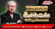 TRUBB ราคายางเทรนด์ขาขึ้น ปั๊มกำไรนิวไฮแรง! (11/10/64)