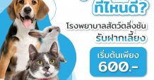 โรงพยาบาลสัตว์ตลิ่งชัน จัดโปรโมชั่นรับฝากเลี้ยงในราคาสุดพิเศษเอาใจเจ้าของสัตว์เลี้ยง