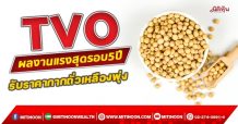 TVO ผลงานแรงสุดรอบ 5 ปี รับราคากากถั่วเหลืองพุ่ง (16/11/64)