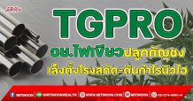 TGPRO อย.ไฟเขียวปลูกกัญชง เล็งตั้งโรงสกัด-ดันกำไรนิวไฮ (23/11/64)