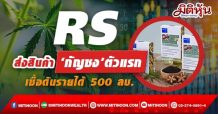 RS ส่งสินค้า ‘กัญชง’ตัวแรก เชื่อดันรายได้ 500 ลบ.