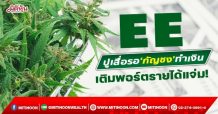 EE ปูเสื่อรอ‘กัญชง’ทำเงิน เติมพอร์ตรายได้แจ่ม! (14/01/65)