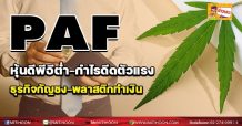 PAF หุ้นดีพีอีต่ำ-กำไรดีดตัวแรง ธุรกิจกัญชง-พลาสติกทำเงิน