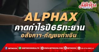 ALPHAX คาดกำไรปี65ทะยาน อสังหาฯ-กัญชงทำเงิน