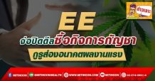 EE จ่อปิดดีลซื้อกิจการกัญชา กูรูส่องอนาคตผลงานแรง (26/01/65)