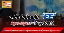 นาทีทองช้อนหุ้น ‘ EE’ กัญชง-กัญชาดันกำไรพุ่ง200%