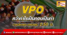 VPO คว้ากำไรเป็นกอบเป็นกำ ปาล์มโลกพุ่ง-เทคนิคลุ้น 2.50 บ.