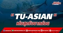 “TU-ASIAN” เด่นสุดรับบาทอ่อน