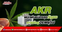 AKR ผนึกพันธมิตรลุยกัญชง คว้าดีลใหญ่ OEM ยุโรป (29/03/65)