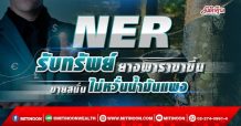 NER รับทรัพย์ยางพาราขาขึ้น ขายสนั่นไม่หวั่นน้ำมันแพง (8/03/65)