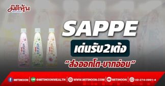 SAPPE เด่นรับ2เด้ง “ส่งออกโต-บาทอ่อน”