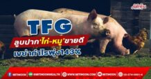 TFG ลูบปาก‘ไก่-หมู’ขายดี เขย่ากำไรพุ่ง143% (22/04/65)