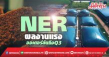 NER ผลงานแรง ออเดอร์ล้นถึงQ3