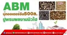 ABM บุ๊กออเดอร์จีน500ล. ปูพรมผลงานนิวไฮ (05/05/65)