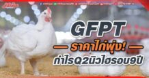 GFPT ราคาไก่พุ่ง! ดันกำไรQ2นิวไฮรอบ9ปี