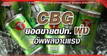 CBG ยอดขายตปท.พุ่ง อัพผลงานแรง
