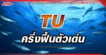 TU ครึ่งฟื้นตัวเด่น