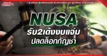 NUSA รับ2เด้งงบแจ่ม ปลดล็อกกัญชา