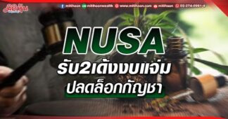 NUSA รับ2เด้งงบแจ่ม ปลดล็อกกัญชา